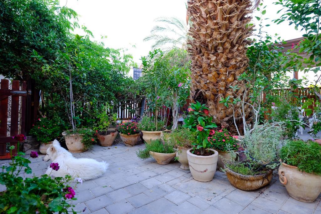 Gil'S Guest Rooms Neve Zohar Exterior foto